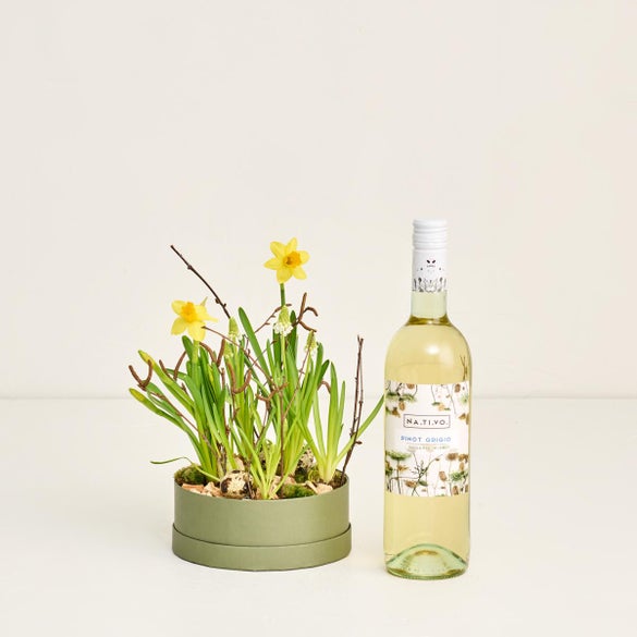 Hatteæske med téte a téte og perlehyacinter med Na.Ti.Vo hvidvin